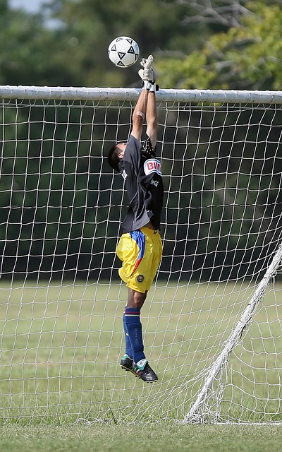 的科学性也 的科学性也